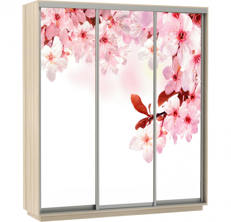 Шкаф купе с фотопечатью